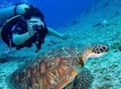 5 Day Tour Itinerary For Goa