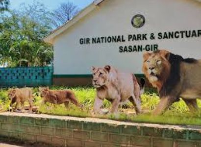 Ultimate 10-Day Gujarat Tour Package