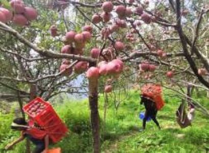 4N - 5D Himachal Pradesh Tour Manali