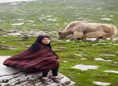 2N - 3D Himachal Pradesh Tour Manali