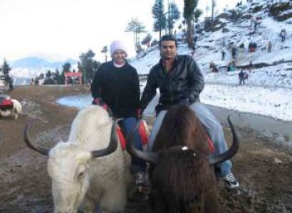 2N - 3D Himachal Pradesh Tour Shimla