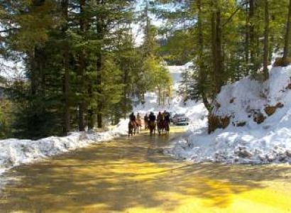 2N - 3D Himachal Pradesh Tour Shimla