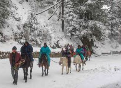 2N - 3D Himachal Pradesh Tour Shimla