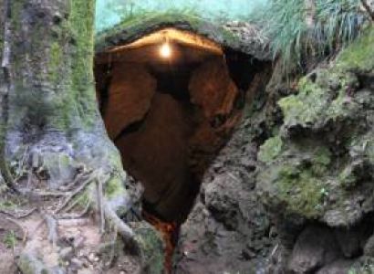 3N/4D Nainital & Jim Corbett National Park Tour package