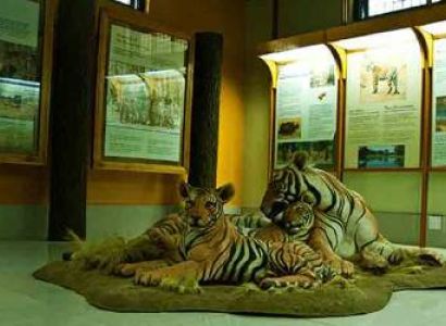 3N/4D Nainital & Jim Corbett National Park Tour package