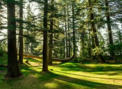 3 Nights 4 Days Dalhousie Khajjiar Tour Package from Delhi
