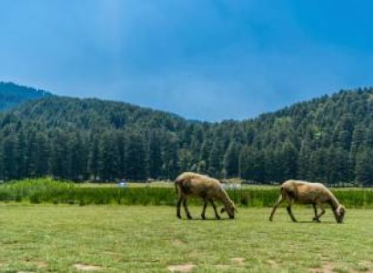 3 Nights 4 Days Dalhousie Khajjiar Tour Package from Delhi