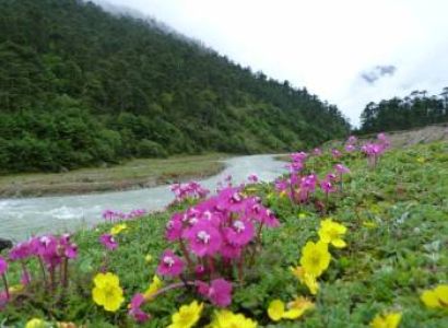 6 Nights / 7 Days Sikkim Tour Package – Gangtok 3N | Lachung 1N | Pelling 2N