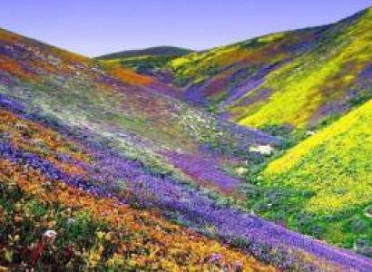 6 Nights / 7 Days Sikkim Tour Package – Gangtok 3N | Lachung 1N | Pelling 2N