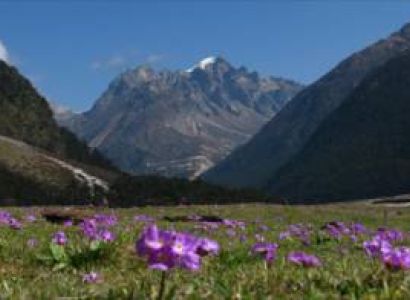 6 Nights / 7 Days Sikkim Tour Package – Gangtok 3N | Lachung 1N | Pelling 2N