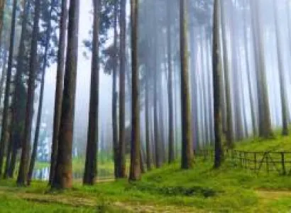 Darjeeling Mirik Tour Package – 3 Nights 4 Days Ex Bagdogra NJP