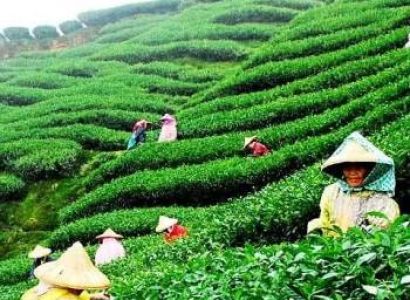 Darjeeling Mirik Tour Package – 3 Nights 4 Days Ex Bagdogra NJP