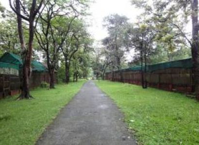 7 Days Family Tour – Nameri -Dirang - Tawang - Bomdila from Guwahati