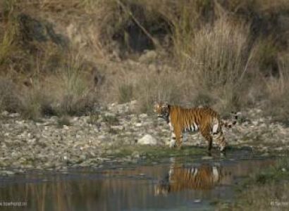 Nainital to Corbett Tour