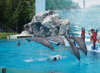 Thailand - 4 Nights 5days Tour