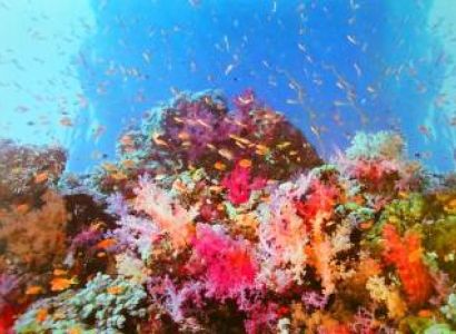 Andaman And Nicobar Islands 5 Night - 6 Days Tour