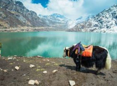 Gangtok, Lachung, Darjeeling Tour