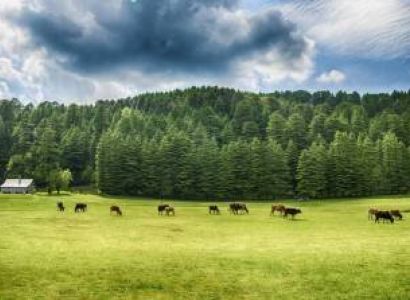 10 Days Himachal Land Package