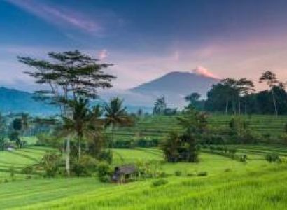 Bali Land Package Only