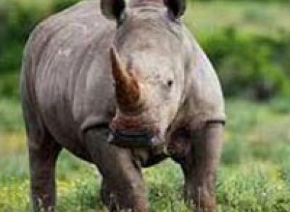 Assam Meghalaya Tour