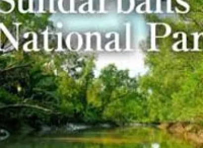 Sundarban Tour Package
