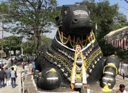 Mysore (1 Day) Package On 15-03-2020