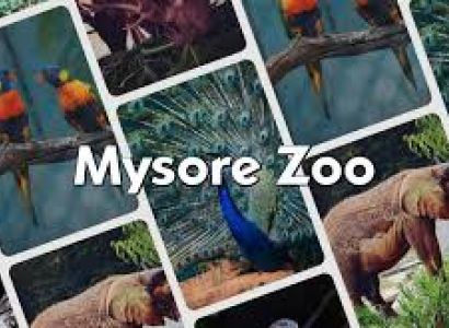 Mysore (1 Day) Package On 15-03-2020