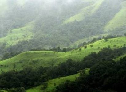 Wayanad Package