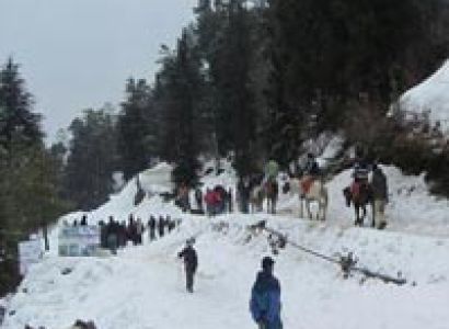 Shimla & Manali Package