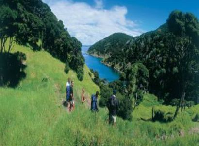New Zealand Northern Escape Tour