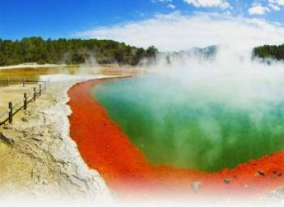 Auckland Rotorua Tour Package