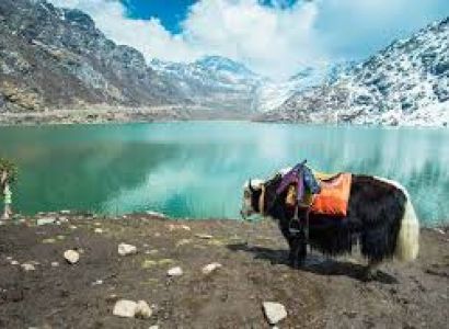 03 Nights Gangtok + 02 Nights Darjeeling Tour