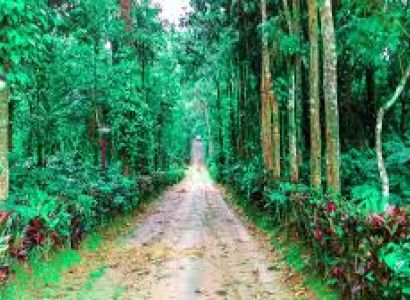 05 Nights & 06 Days for Bangalore, Coorg, Ooty and Coimbatore Package