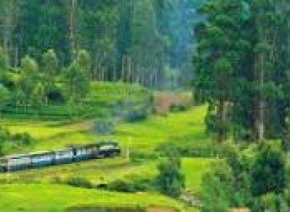 05 Nights & 06 Days for Bangalore, Coorg, Ooty and Coimbatore Package