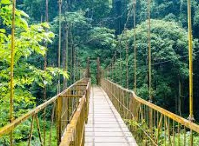 05 Nights & 06 Days in Bangalore, Coorg, Ooty and Coimbatore Tour