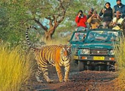 09 Nights & 10 Days Delhi-Jaipur-Ranthambore-Agra-Varanasi Tour