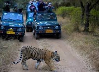 09 Nights & 10 Days Delhi-Jaipur-Ranthambore-Agra-Varanasi Tour