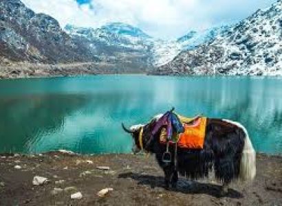 Darjeeling, Kalimpong & Gangtok 06 Nights & 07 Days Tour
