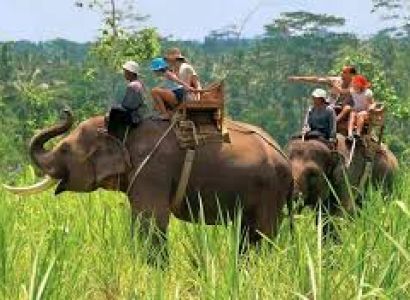 02 Nights & 03 Days Jim Corbett Tour