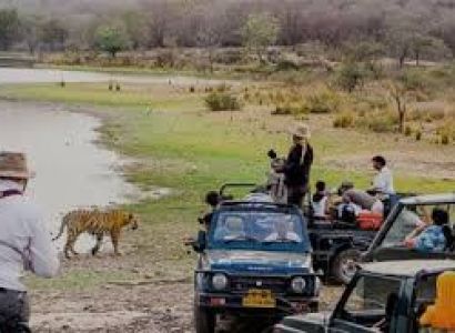 02 Nights & 03 Days Jim Corbett Tour