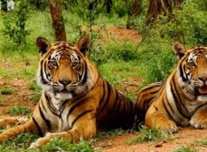 05 Nights & 06 Days Mussoorie, Corbett & Nainital Tour Package