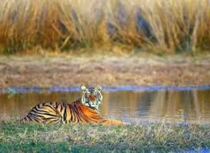 02 Night & 03 Days Sariska Tour Package