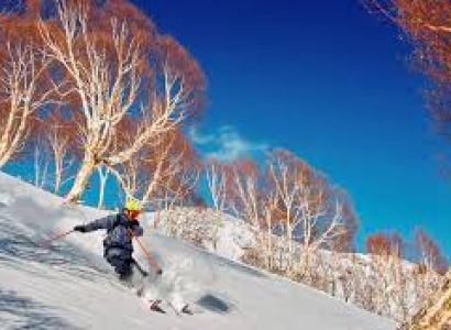 03 Nights/04 Days Srinagar Package