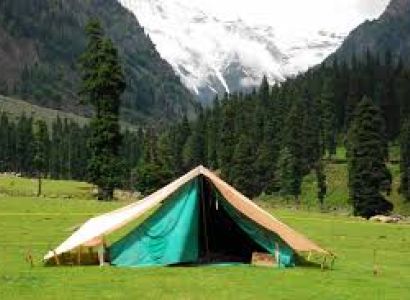 05 Nights/ 06 Days Budget Honeymoon  Kashmir Tour Package
