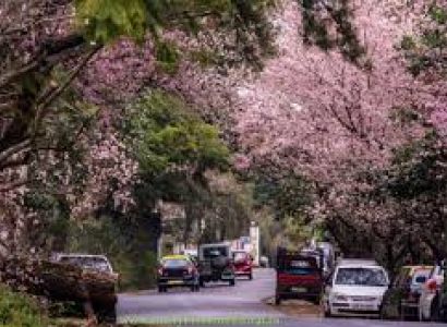 03 Nights/04 Days Only Shillong Package