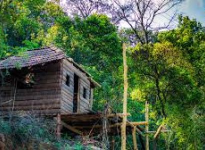 04 Nights/05 Days Mysore with Coorg Tour Package