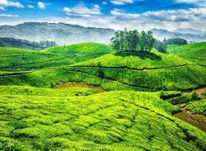 07 Nights/08 Days Kerala Tour Package