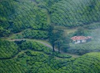 07 Nights/08 Days Kerala Tour Package