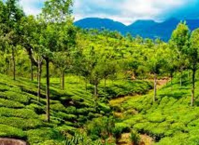 07 Nights/08 Days Kerala Tour Package