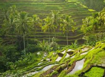 06 Nights & 07 Days Bali Tour Package